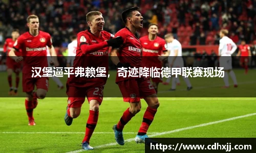 乐发Vll官网